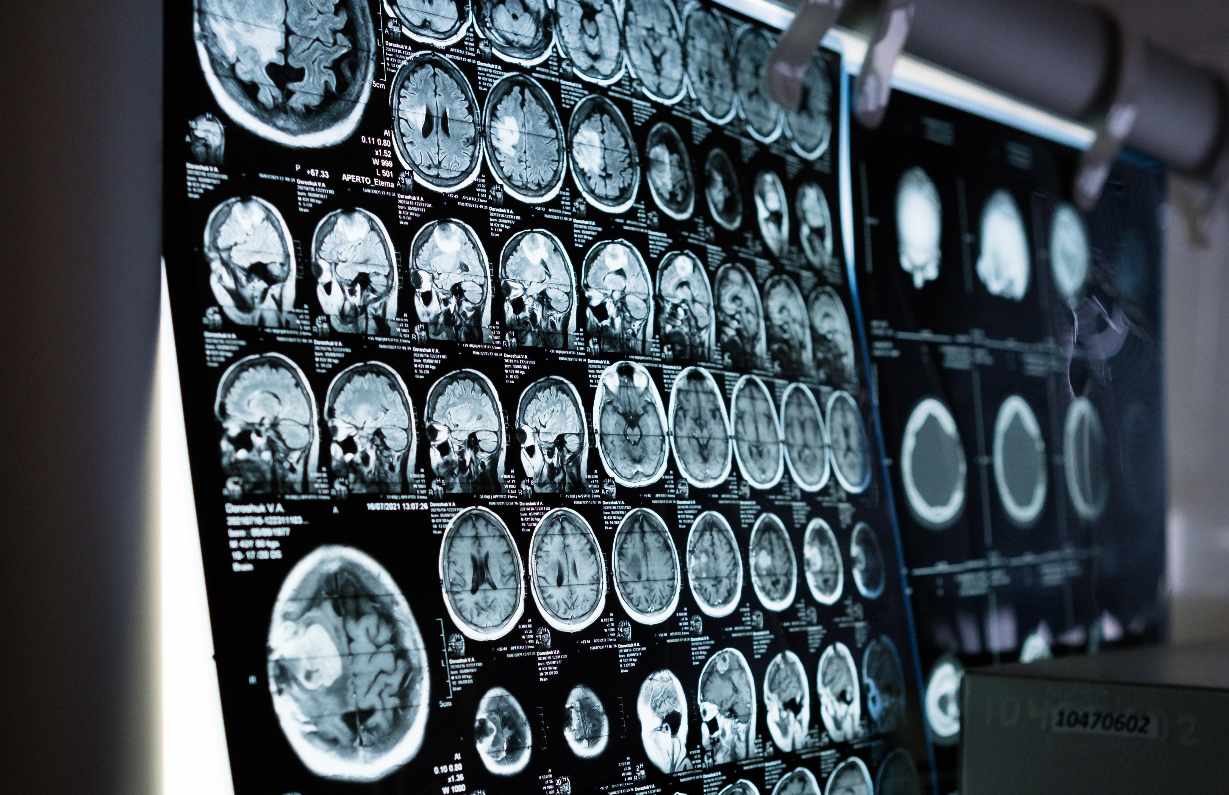  AI systems are able to provide personalised and relevant responses via chat